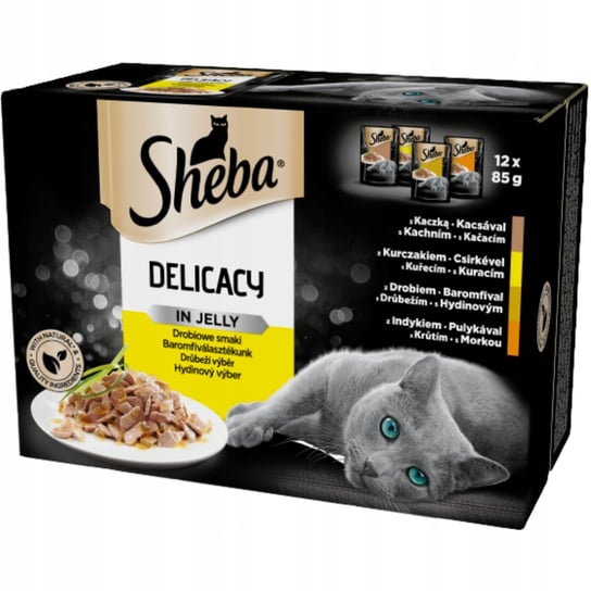 SHEBA Delicacy mokra karma dla kota smaki drobiowe w galaretce 12x85 g Sheba