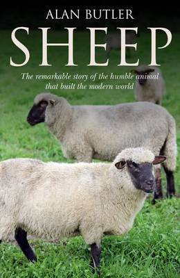 Sheep Butler Alan
