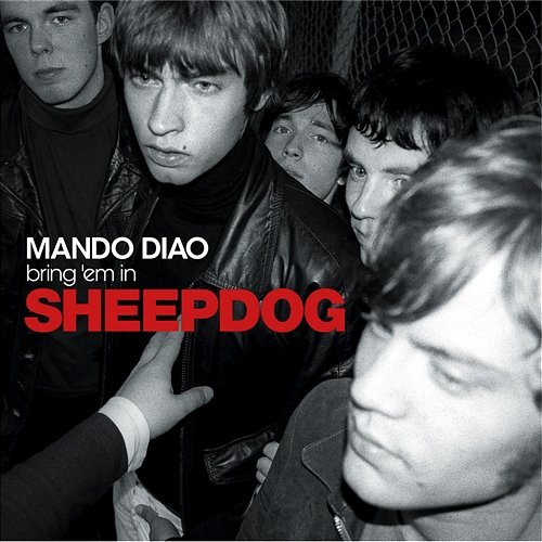 Sheepdog Mando Diao