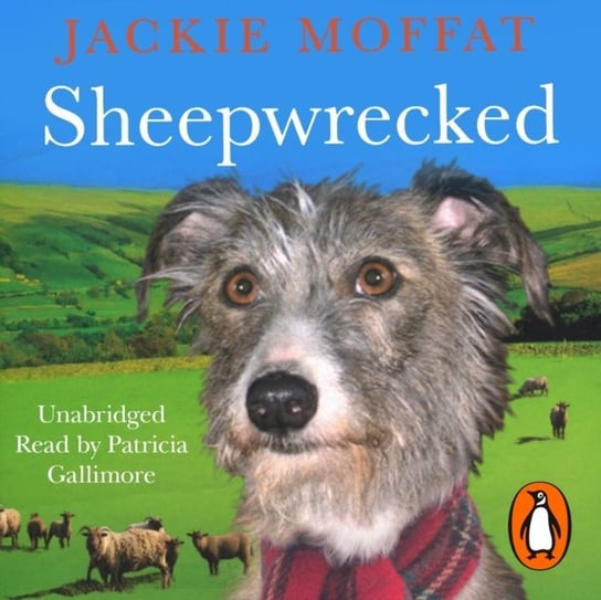 Sheepwrecked Ellis Jackie