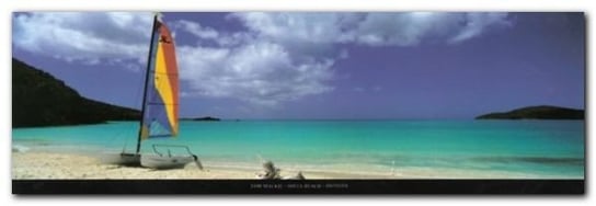 Shell Beach, Antigua plakat obraz 95x33cm Wizard+Genius