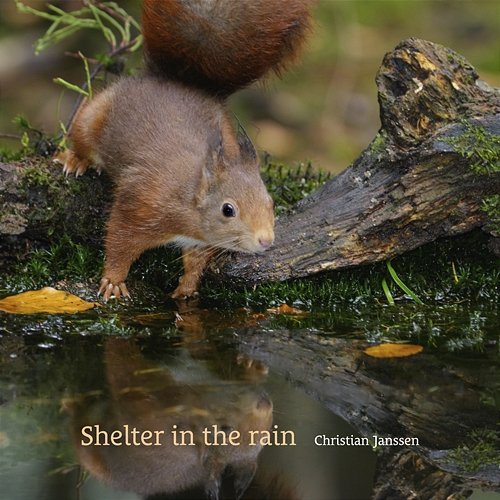 Shelter in the rain Christian Janssen