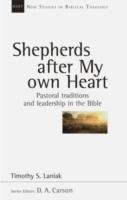 Shepherds After My Own Heart Laniak Timothy S.