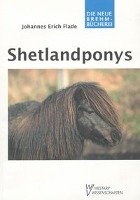 Shetlandponys Flade Johannes Erich