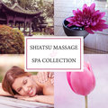 Shiatsu Massage & Spa Collection: Music for Asian Zen Spa, Oriental Healing Sounds, Beauty Day, Total Relax Healing Oriental Spa Collection