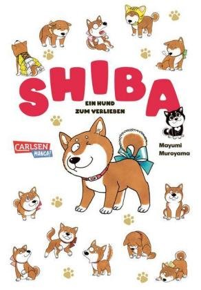 Shiba - Ein Hund zum Verlieben Carlsen Verlag