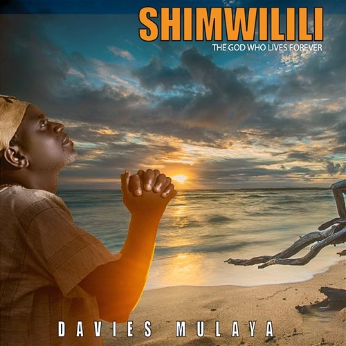Shimwilili Davies Mulaya