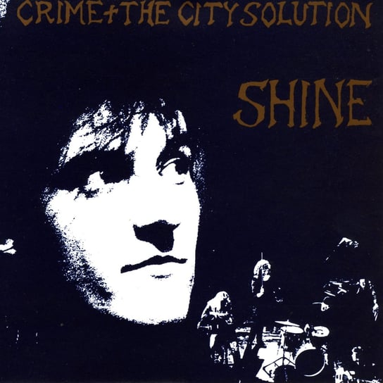 Shine Crime and the City Solution