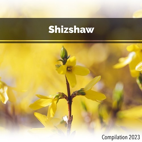 Shizshaw Compilation 2023 John Toso, Mauro Rawn, Benny Montaquila Dj