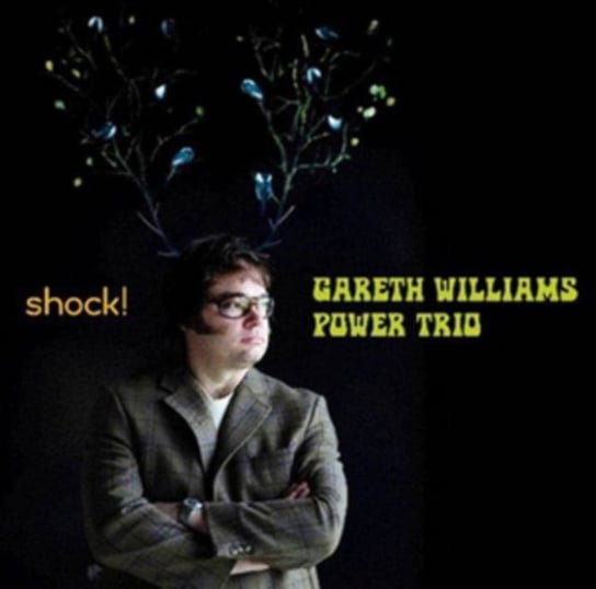 Shock! Gareth Williams Power Trio