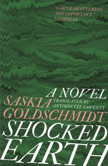 Shocked Earth Saskia Goldschmidt