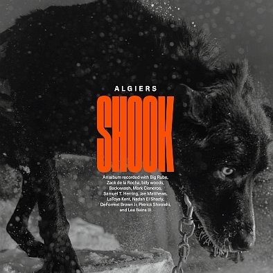 Shook Algiers