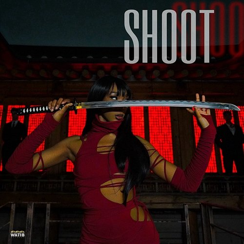 SHOOT Moon