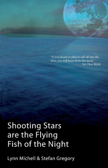 Shooting Stars Are The Flying Fish Of The Night Michell Lynn