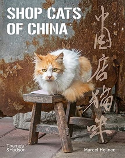 Shop Cats of China Marcel Heijnen