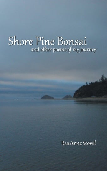 Shore Pine Bonsai Scovill Rea Anne