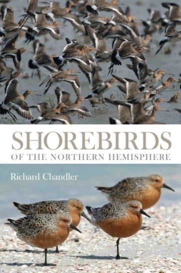 Shorebirds of the Northern Hemisphere Richard Chandler