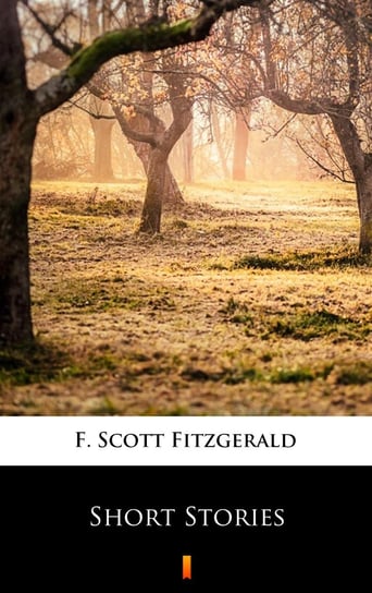 Short Stories Fitzgerald Scott F.