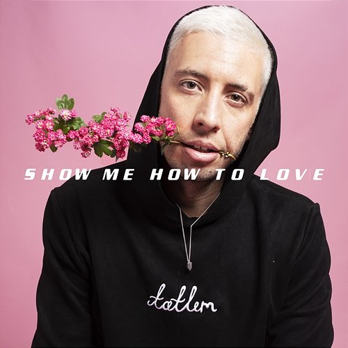 Show Me How to Love Example feat. Hayla