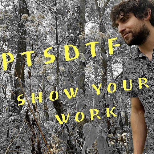 Show Your Work PTSDTF