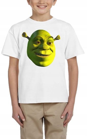 Shrek 3129 Koszulka Dziecięca Fiona Kot Bajka 140 Inna marka