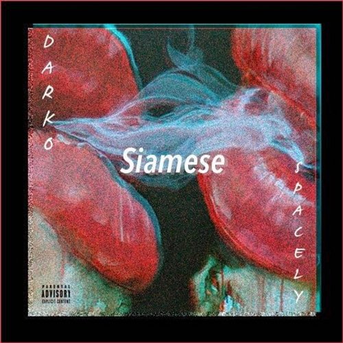 Siamese DarkoVibes feat. $pacely
