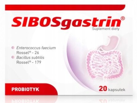 Sibosgastrin, Probiotyk, flora bakteryjna, 20 kaps. Polfa Łódź