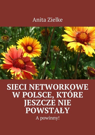 Sieci networkowe w Polsce, które jeszcze nie powstały, a powinny! Zielke Anita