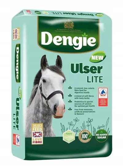 Sieczka Dengie UlserLite dla koni wrzodowych 20 kg Inny producent