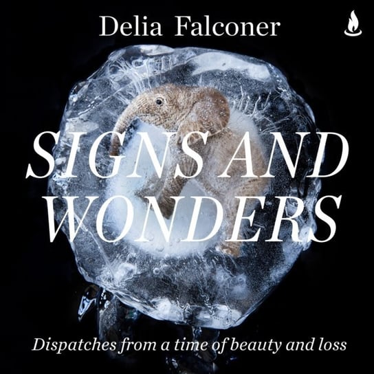 Signs and Wonders Delia Falconer