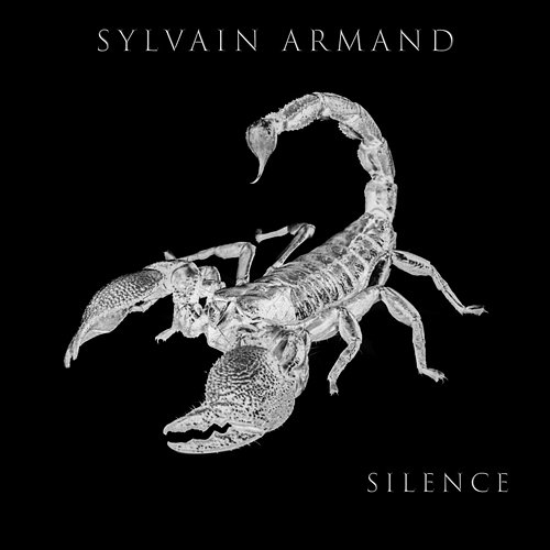 Silence Sylvain Armand