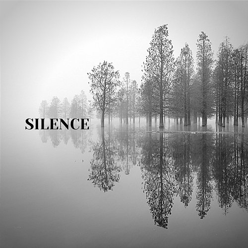 Silence Stardust at 432 Hz