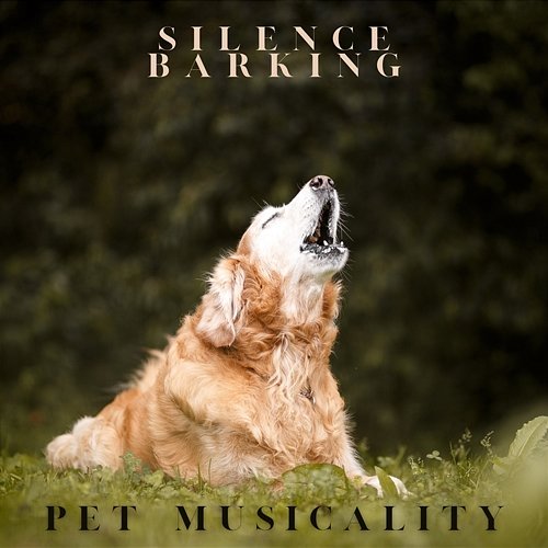 Silence Barking Pet Musicality