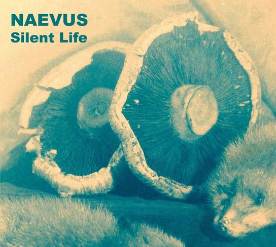 Silent Life Naevus
