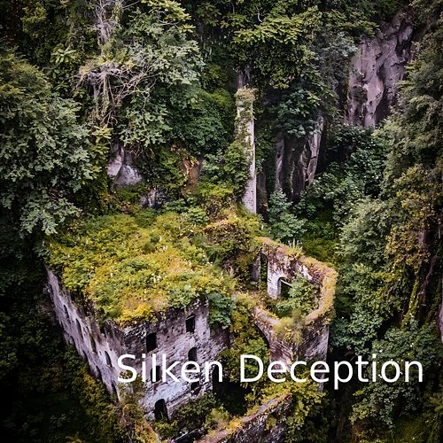 Silken Deception John Schoonmaker