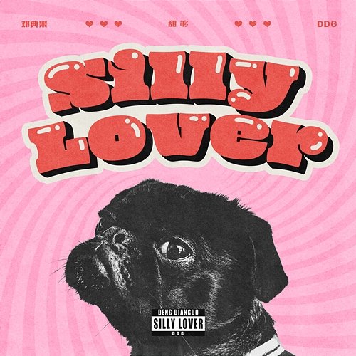 Silly Lover DengDianGuo DDG