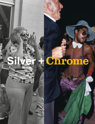 Silver + Chrome Steidl