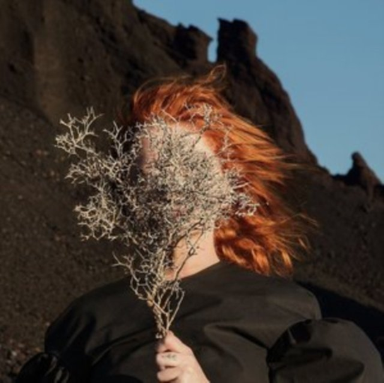 Silver Eye Goldfrapp