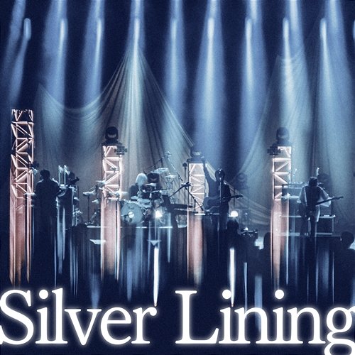 Silver Lining Straightener