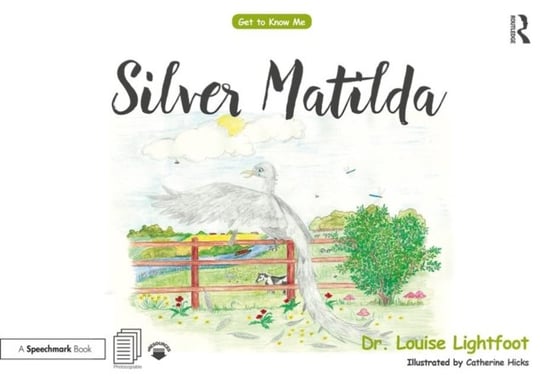 Silver Matilda: Get to Know Me: Depression Louise Lightfoot