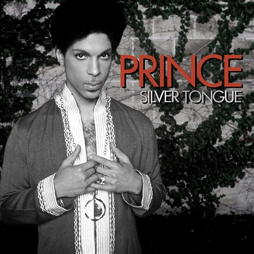 Silver Tongue Prince