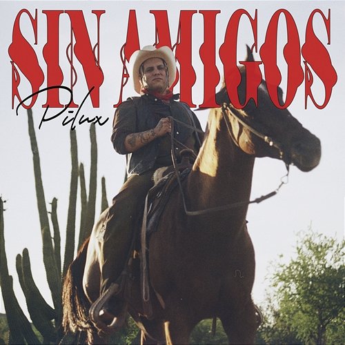 Sin Amigos Pilux