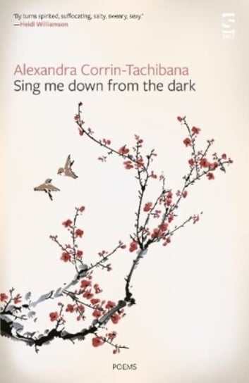 Sing Me Down from the Dark Salt Publishing