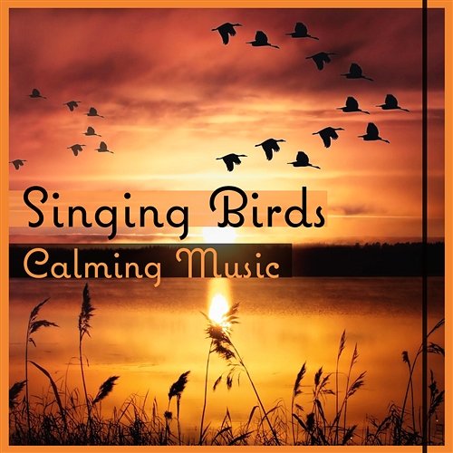 Singing Birds – Calming Music: Relaxation & Meditation, Sound of Nature for Soul, Body & Mind, Healing Massage & Deep Sleep Calm Nature Oasis