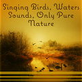 Singing Birds, Waters Sounds, Only Pure Nature – Music for Deep Rest, Spa, Relaxation & Meditation, Sleep, Healing Songs Calm Nature Oasis