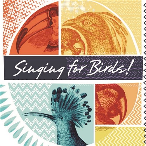 Singing For Birds Various Artists