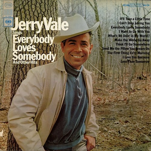 Sings Everybody Loves Somebody and Other Hits Jerry Vale