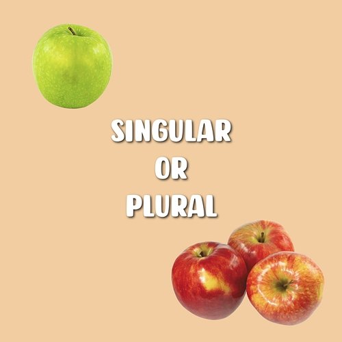 Singular Or Plural Shin Hong Vinh, LalaTv