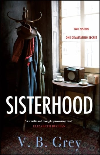 Sisterhood: A heartbreaking mystery of family secrets and lies V.B. Grey