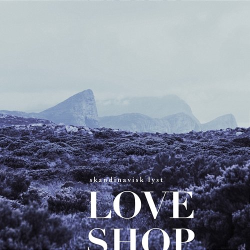 Skandinavisk Lyst Love Shop